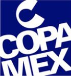 logo COPA MEX